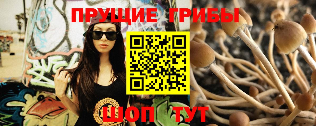 Галлюциногенные грибы Magic Shrooms Зеленодольск